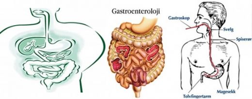Gastroenteroloji Hastalklar