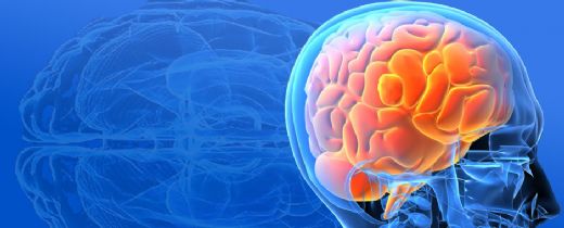 Beyin ve Sinir Hastalıkları Belirtileri ve Tedavisi
