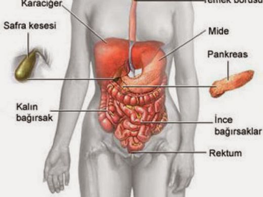 Chron Hastalığı Belirtileri ve Tedavisi