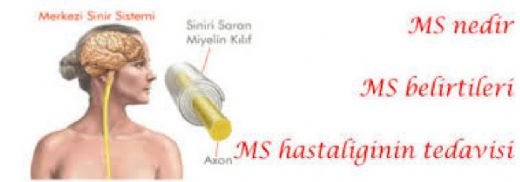 Emes Hastalığı Nedir?