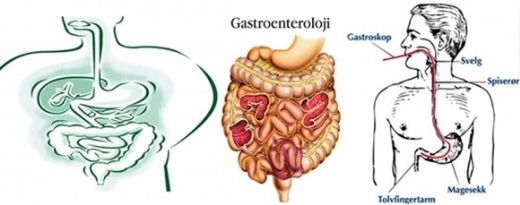 Gastroenteroloji Hastalıkları Belirtileri ve Tedavisi