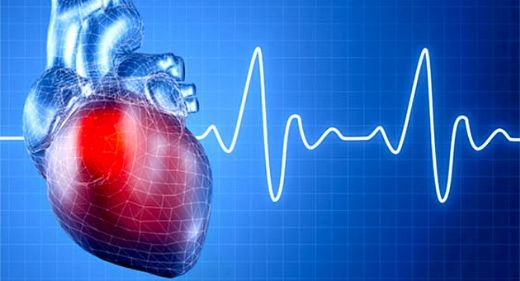 Kardiyoloji Hangi Hastalıklara Bakar?