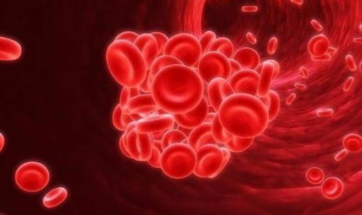 Ölümcül Hastalıklar Belirtileri ve Tedavisi