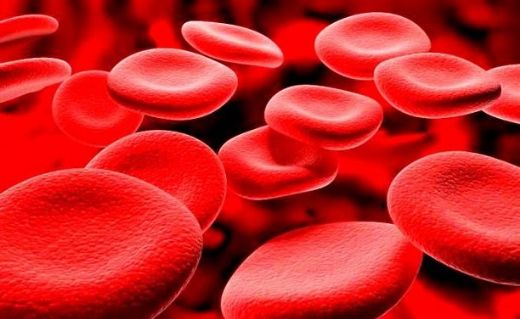 Talasemi Hastalığı Belirtileri ve Tedavisi